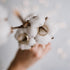Why Organic Cotton?